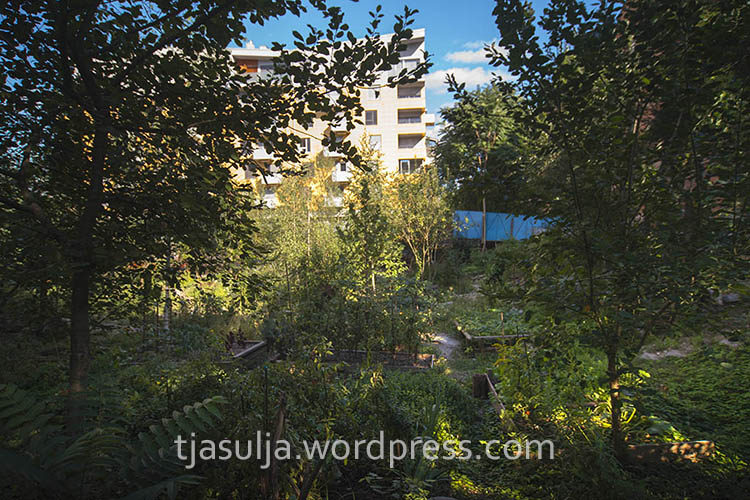 onkraj-gradbisca-urban-garden 2